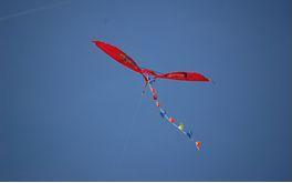 wind kite